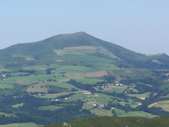 Ursuia1
