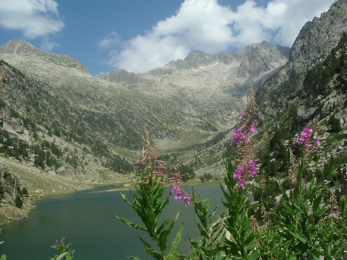 Besiberri Nord Besiberri Nord