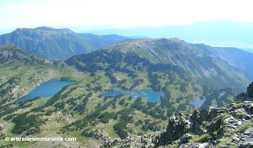 Lacs des Camporells