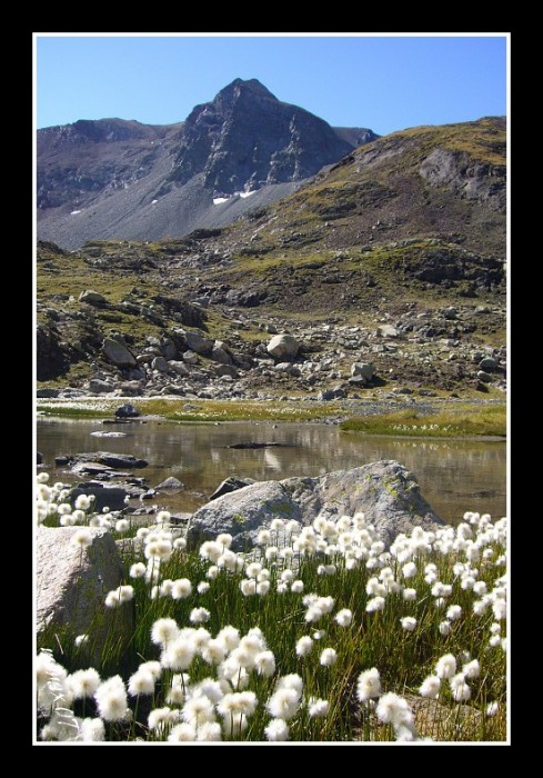 Campbieil