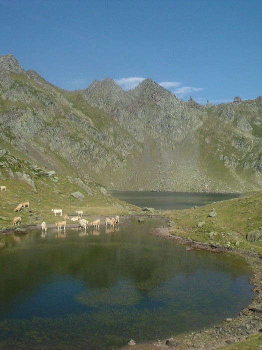 Lac Bersau et son laquet