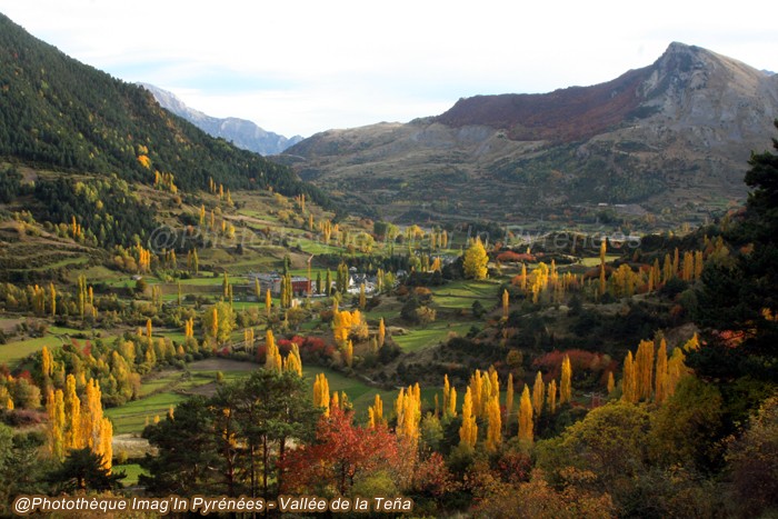 Automne en valle de Tea