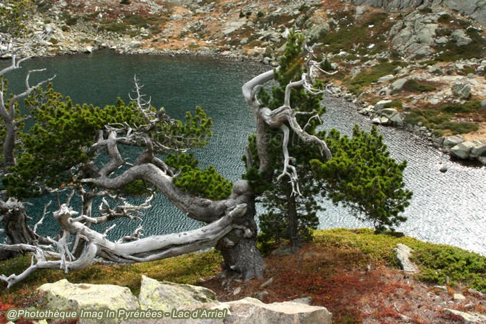 Lac d'Arriel