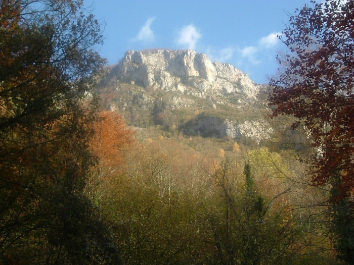Pne de Bon