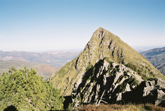 Le Viscos