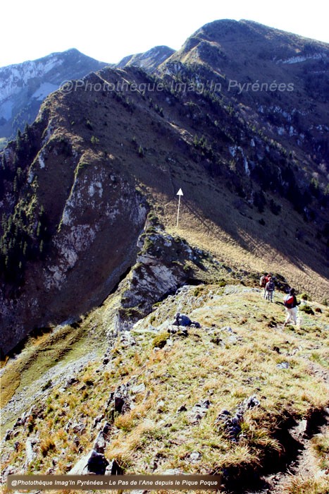 Pique Poque Pique Poque