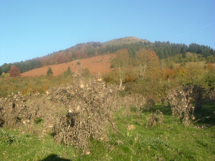 Soum de la Pale