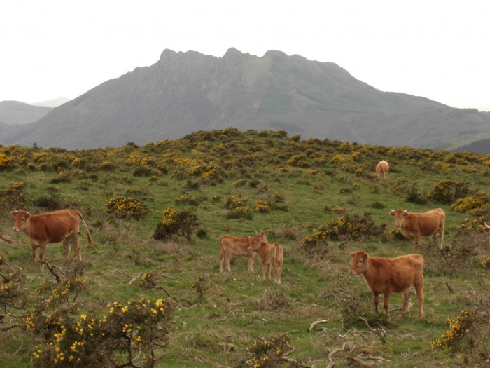 Sur le flanc Sud-Ouest du Mandale