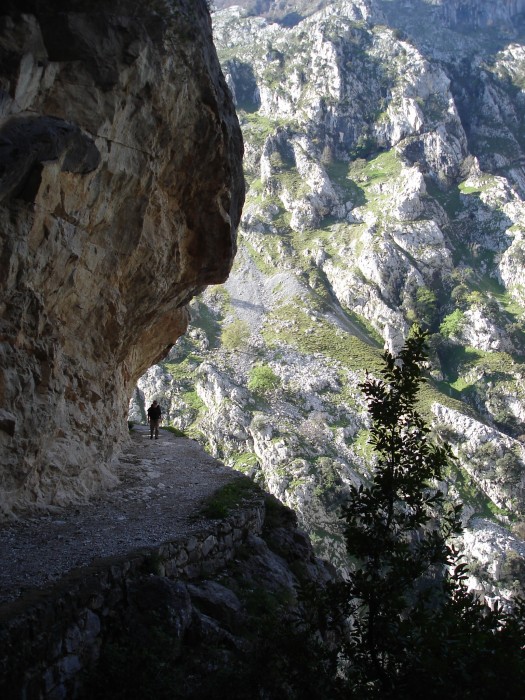 Ruta del Cares