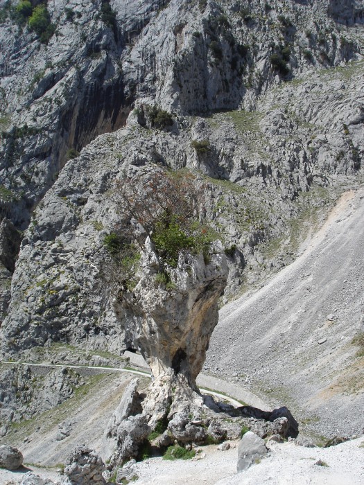 Ruta del Cares
