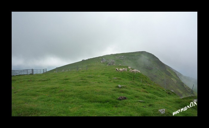 Montaigu