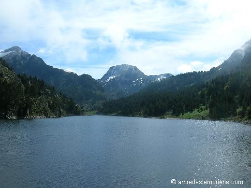 Etang des Bsines