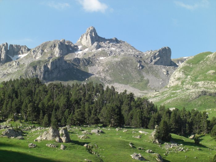 Caillabet de Rbec