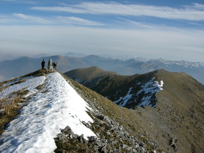 La crte du Bassia