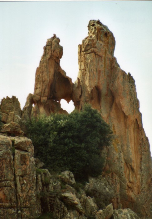 coeur