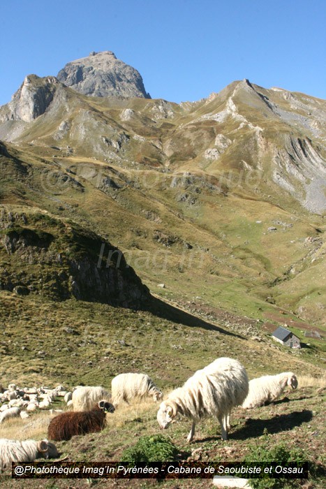 Cabane de Saoubiste