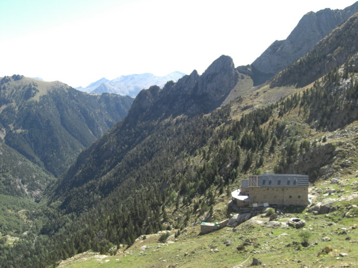 Pico Posets Pico Posets