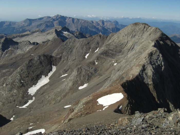 Pico Posets