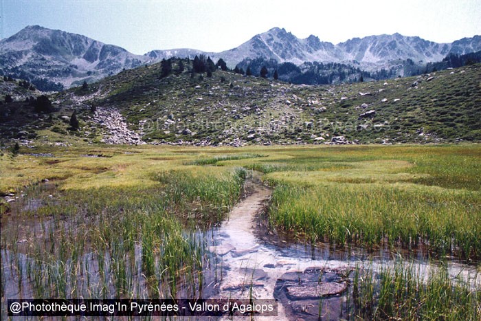 Vallon d'Agalops
