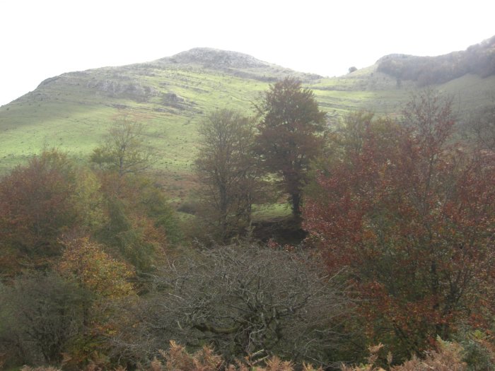 Pic Etchecortia