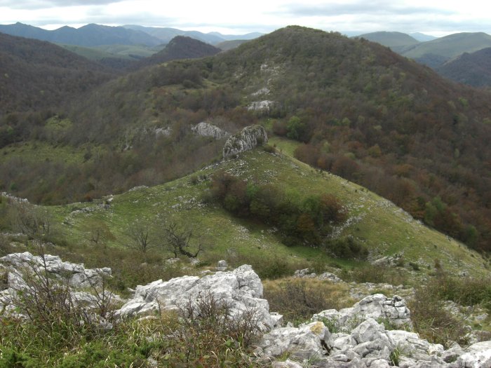 Pic Etchecortia
