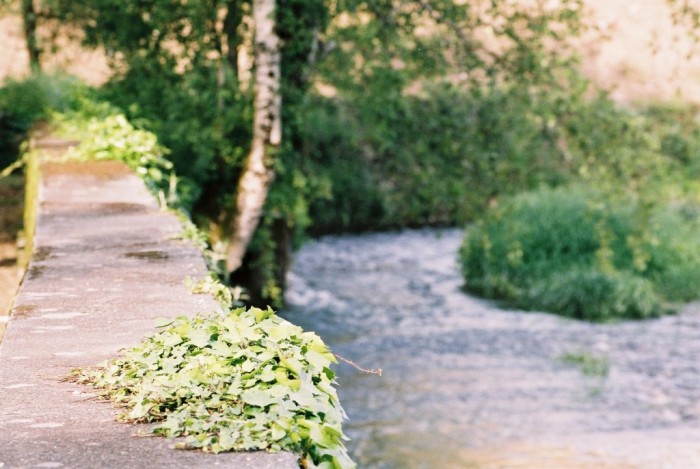 Le gave au pont de l'Arrouza