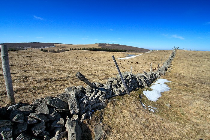 Paysage d'Aubrac