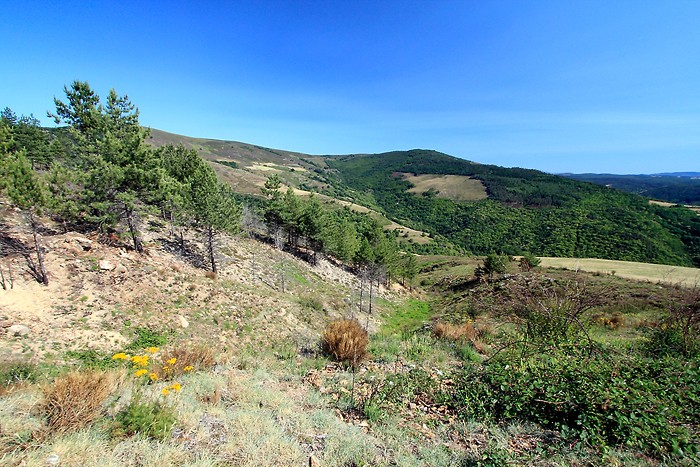 Superbe vue depuis le col du Sapet dans les Cevennes