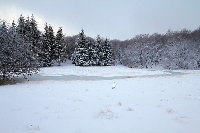 Neige sur le plateau de l'Aubrac
