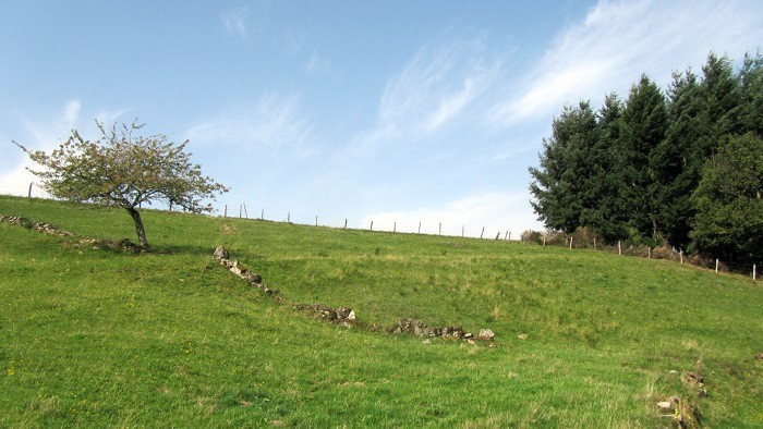 Plateau de Viadne, qui commence  ressembler  celui de l'Aubrac