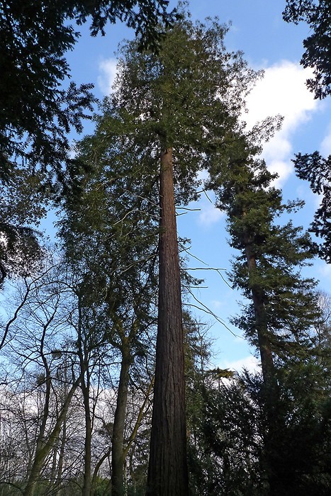 Balade dans le parc de Bourran 4