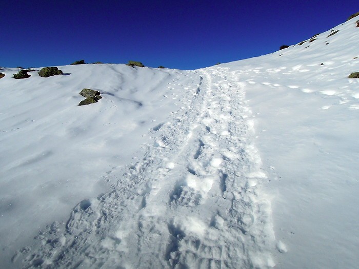Balade  Hautacam dans la neige fraiche