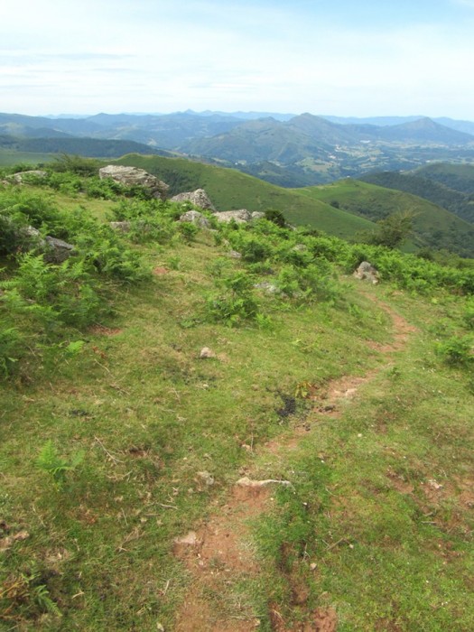 Chemin qui mne au Mondarrain dans le Pays Basque