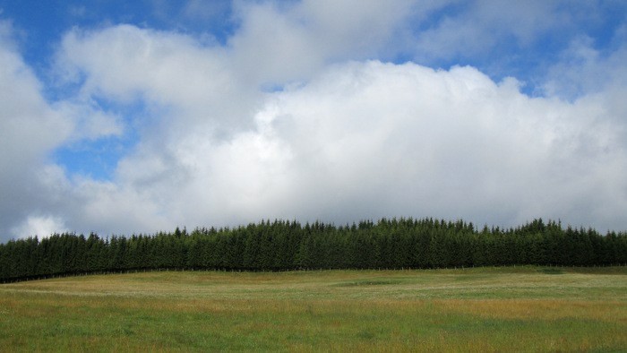 Fort face  Aubrac, sur le Plateau de l'Aubrac