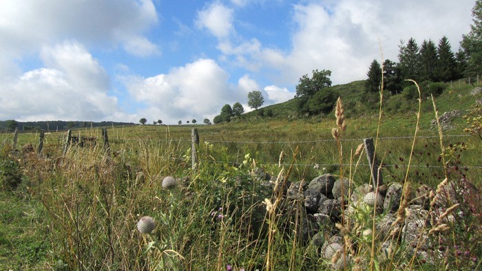 Randonne  la Cascade du Droc, sur le Plateau de l'Aubrac