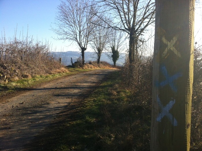 PR balisage jaune, randonne qui tourne  droite, ici ce n'est pas la bonne direction