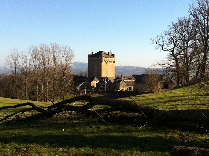 Pl de Masse en dbut d'aprs midi, Aveyron, Midi Pyrnes