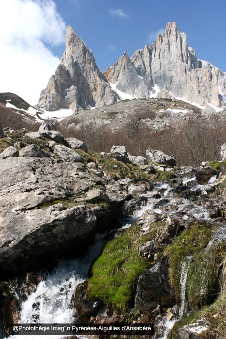 Aiguilles d'ansabre