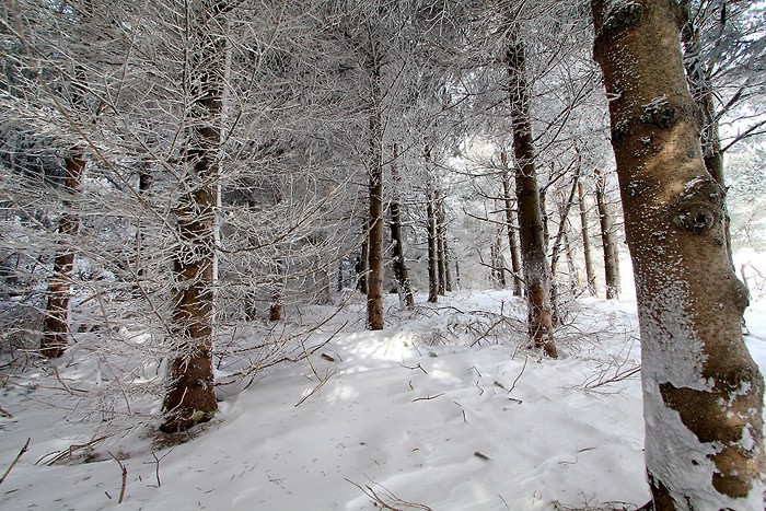 Un beau paysage de neige sur l'Aubrac