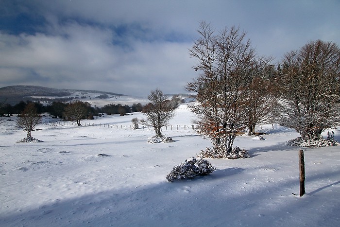 Neige sur le plateau de l'Aubrac