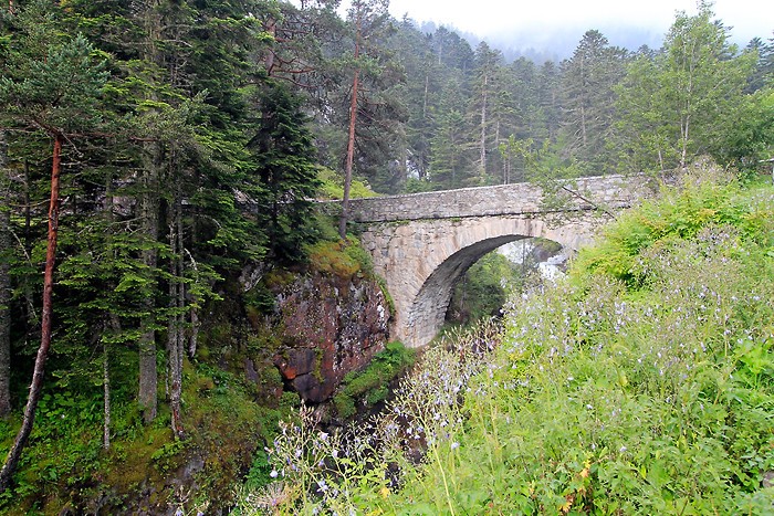 Pont d'Espagne dans les Pyrnes