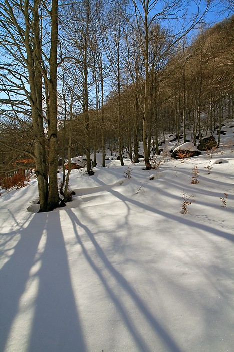 Balade autour de Gavarnie