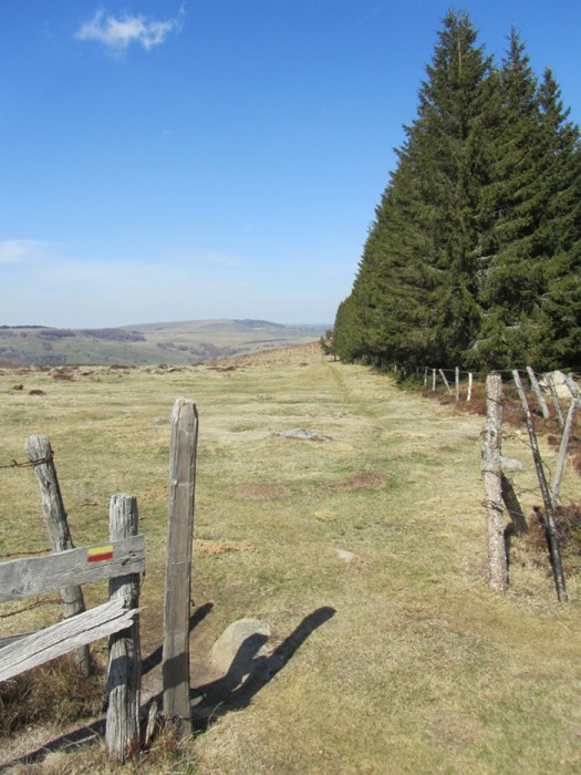 GR de Pays du Tour des Monts d'Aubrac, du côté Lozère, près du Col de Bonnecombe GR de Pays du Tour des Monts d'Aubrac, du côté Lozère, près du Col de Bonnecombe