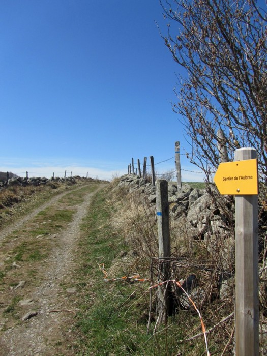 Sentier de l'Aubrac: chemin de randonne ct Lozre, sur le Plateau de l'Aubrac
