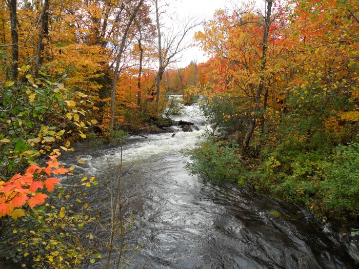 L'automne au Qubec