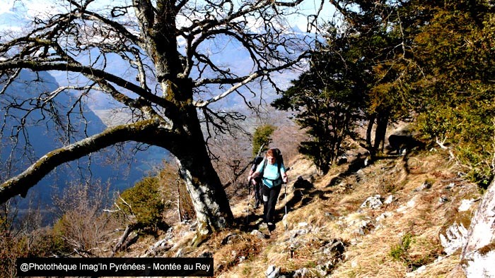 Monte au Rey