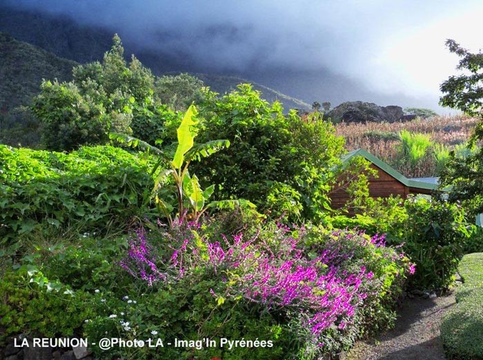LA REUNION