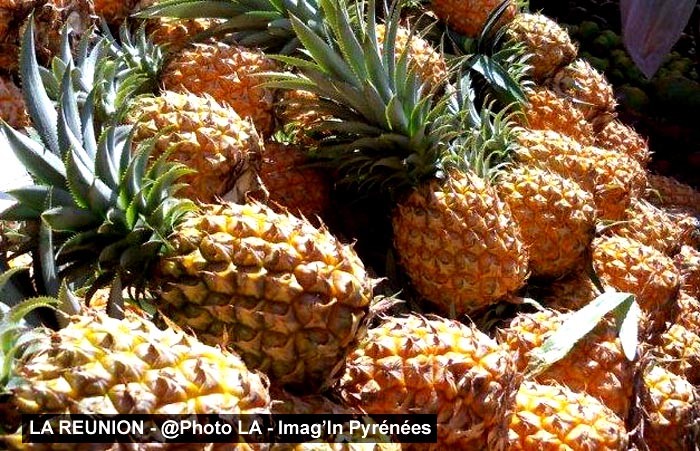 LA REUNION