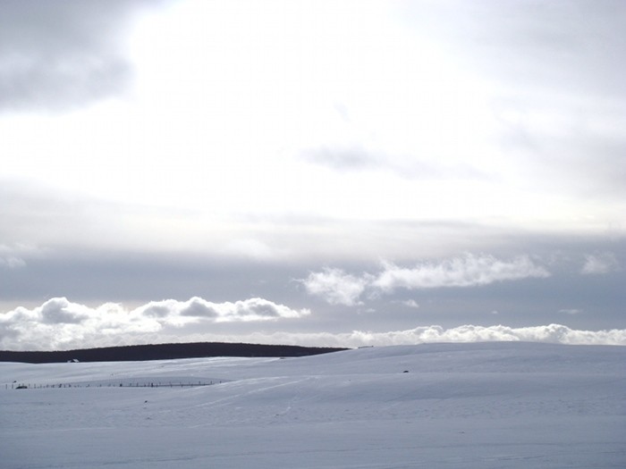 Paysage d'Aubrac sous la neige, vent glacé Paysage d'Aubrac sous la neige, vent glacé