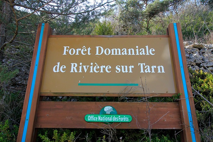 Forêt domaniale de Rivière sur Tarn Forêt domaniale de Rivière sur Tarn